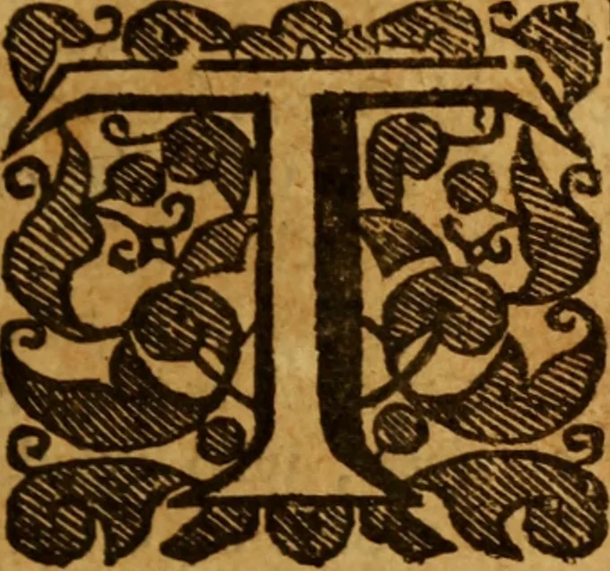 An illustration from The saints everlasting rest .., 1650, leaf 102