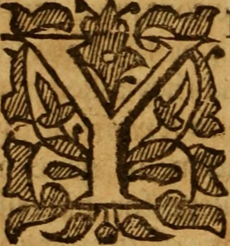 An illustration from The saints everlasting rest .., 1650, leaf 111