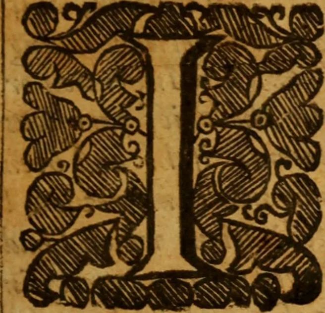 An illustration from The saints everlasting rest .., 1650, leaf 12