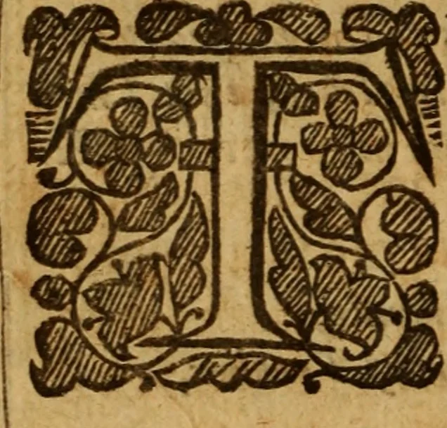 An illustration from The saints everlasting rest .., 1650, leaf 23