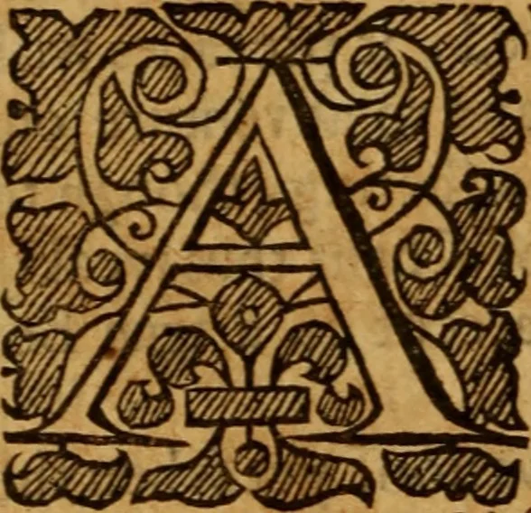 An illustration from The saints everlasting rest .., 1650, leaf 235