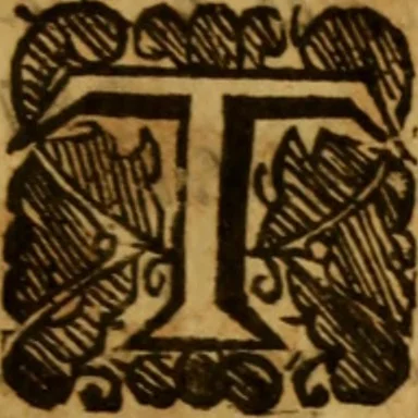 An illustration from The saints everlasting rest .., 1650, leaf 26