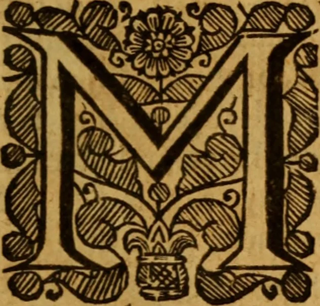An illustration from The saints everlasting rest .., 1650, leaf 274