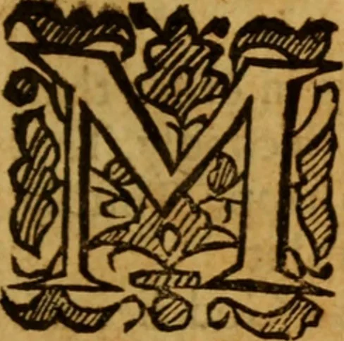 An illustration from The saints everlasting rest .., 1650, leaf 288