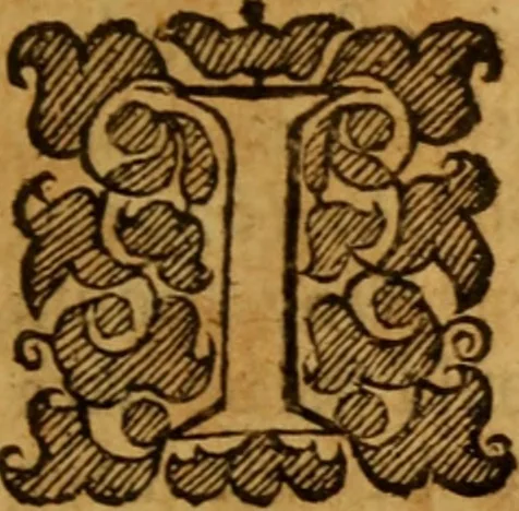 An illustration from The saints everlasting rest .., 1650, leaf 308