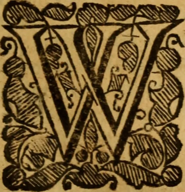 An illustration from The saints everlasting rest .., 1650, leaf 318