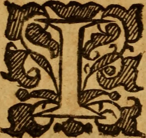 An illustration from The saints everlasting rest .., 1650, leaf 331