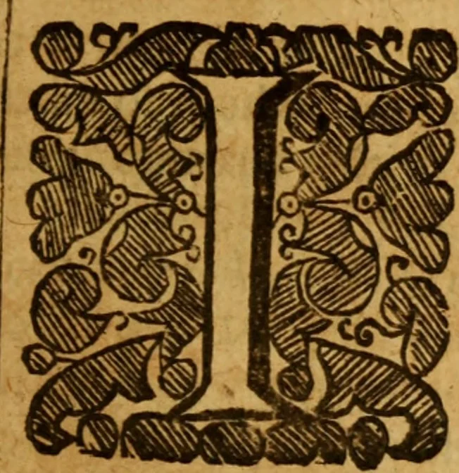 An illustration from The saints everlasting rest .., 1650, leaf 394