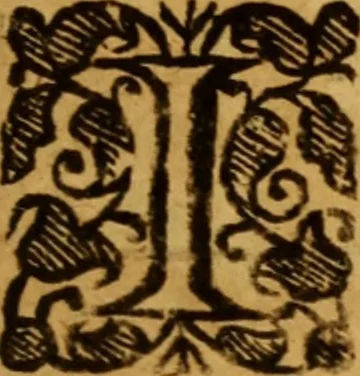 An illustration from The saints everlasting rest .., 1650, leaf 412