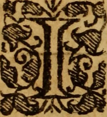 An illustration from The saints everlasting rest .., 1650, leaf 491