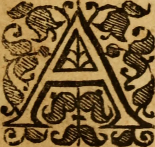 An illustration from The saints everlasting rest .., 1650, leaf 502