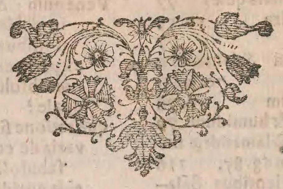 An illustration from Salamandrologia, h.e. Descriptio historico-philologico-philosophico-medica salamandrae quae vulgò in igne vivere creditur : S.R.J. Academiae naturae curiosis exhibita, 1683, leaf 156