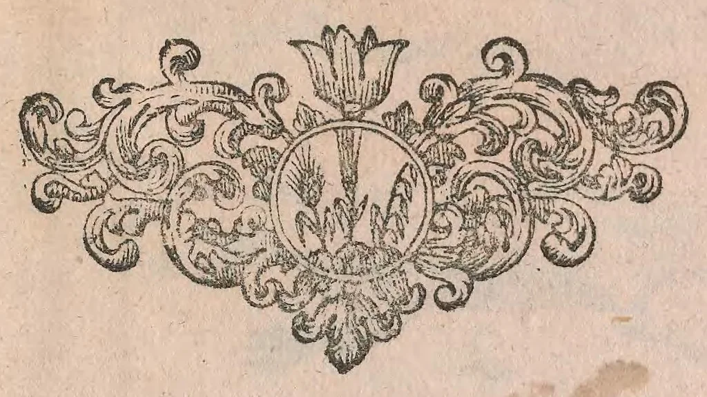 An illustration from Salamandrologia, h.e. Descriptio historico-philologico-philosophico-medica salamandrae quae vulgò in igne vivere creditur : S.R.J. Academiae naturae curiosis exhibita, 1683, leaf 157