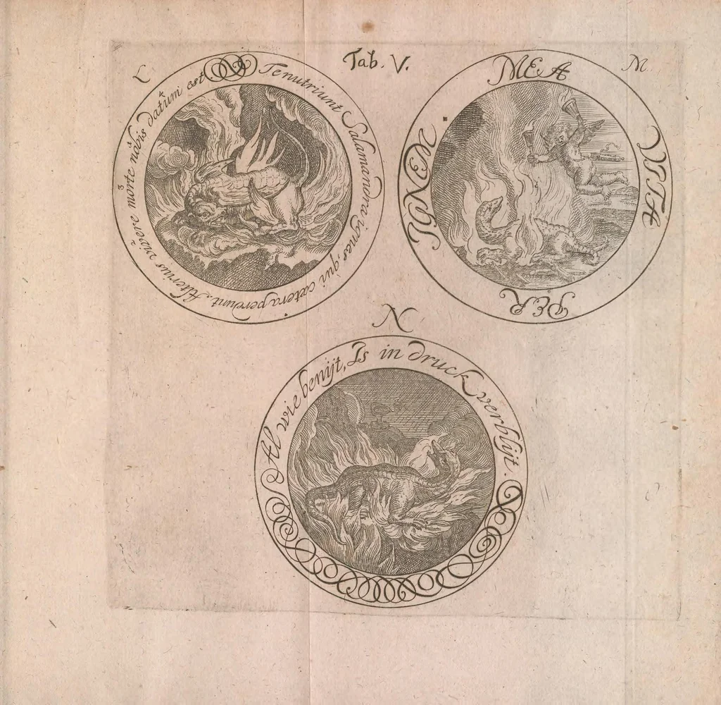 An illustration from Salamandrologia, h.e. Descriptio historico-philologico-philosophico-medica salamandrae quae vulgò in igne vivere creditur : S.R.J. Academiae naturae curiosis exhibita, 1683, leaf 167