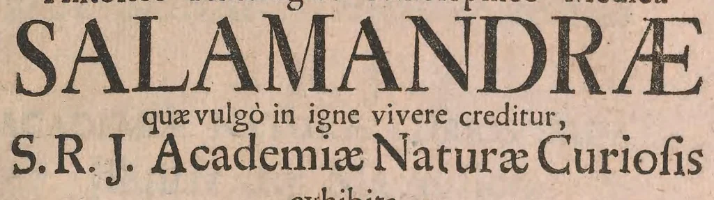 An illustration from Salamandrologia, h.e. Descriptio historico-philologico-philosophico-medica salamandrae quae vulgò in igne vivere creditur : S.R.J. Academiae naturae curiosis exhibita, 1683, leaf 7
