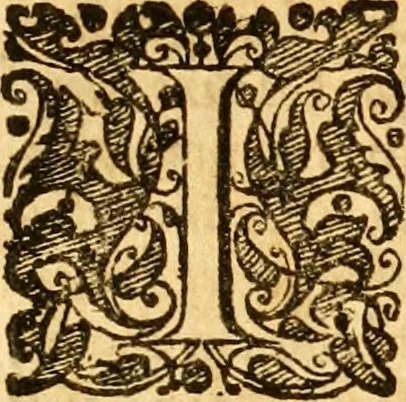 An illustration from Salamandrologia, h.e. Descriptio historico-philologico-philosophico-medica salamandrÃ¦ quÃ¦ vulgÃ² in igne vivere creditur, S.R.J. AcademiÃ¦ naturÃ¦ curiosis exhibita, 1683, leaf 10
