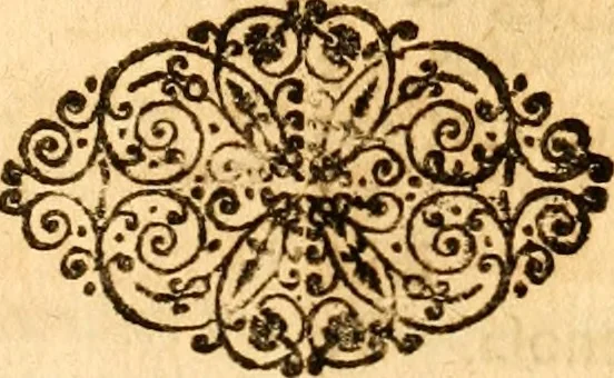 An illustration from Salamandrologia, h.e. Descriptio historico-philologico-philosophico-medica salamandrÃ¦ quÃ¦ vulgÃ² in igne vivere creditur, S.R.J. AcademiÃ¦ naturÃ¦ curiosis exhibita, 1683, leaf 140