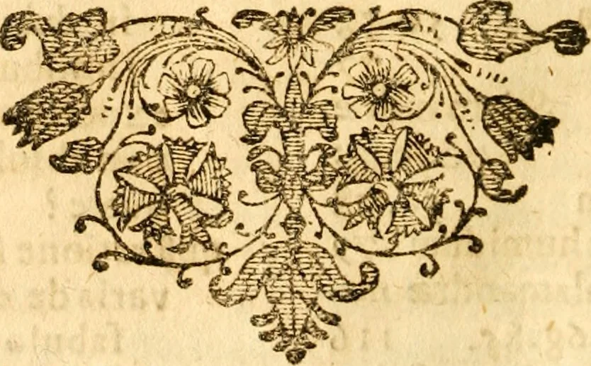 An illustration from Salamandrologia, h.e. Descriptio historico-philologico-philosophico-medica salamandrÃ¦ quÃ¦ vulgÃ² in igne vivere creditur, S.R.J. AcademiÃ¦ naturÃ¦ curiosis exhibita, 1683, leaf 153