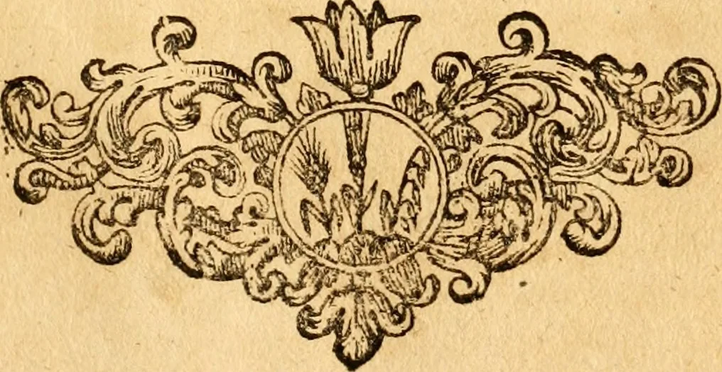 An illustration from Salamandrologia, h.e. Descriptio historico-philologico-philosophico-medica salamandrÃ¦ quÃ¦ vulgÃ² in igne vivere creditur, S.R.J. AcademiÃ¦ naturÃ¦ curiosis exhibita, 1683, leaf 154
