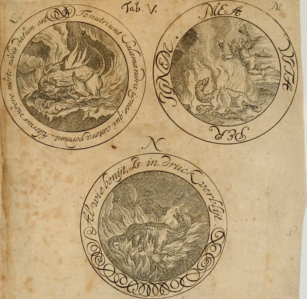 An illustration from Salamandrologia, h.e. Descriptio historico-philologico-philosophico-medica salamandrÃ¦ quÃ¦ vulgÃ² in igne vivere creditur, S.R.J. AcademiÃ¦ naturÃ¦ curiosis exhibita, 1683, leaf 166