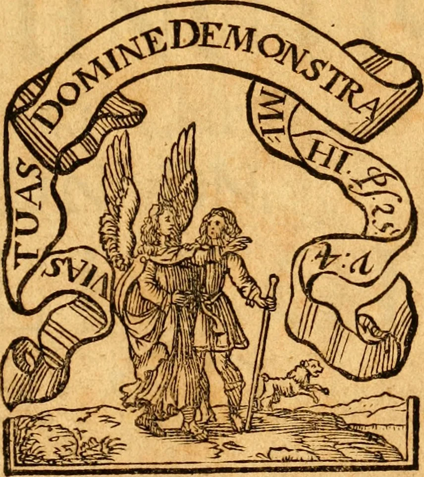 An illustration from Salamandrologia, h.e. Descriptio historico-philologico-philosophico-medica salamandrÃ¦ quÃ¦ vulgÃ² in igne vivere creditur, S.R.J. AcademiÃ¦ naturÃ¦ curiosis exhibita, 1683, leaf 4