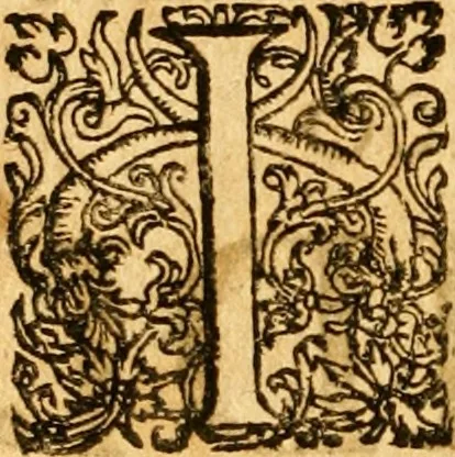 An illustration from Salamandrologia, h.e. Descriptio historico-philologico-philosophico-medica salamandrÃ¦ quÃ¦ vulgÃ² in igne vivere creditur, S.R.J. AcademiÃ¦ naturÃ¦ curiosis exhibita, 1683, leaf 7