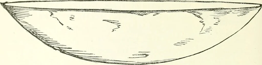 An illustration from Salaminia (Cyprus) : the history, treasures, & antiquities of Salamis in the island of Cyprus, 1882, leaf 113