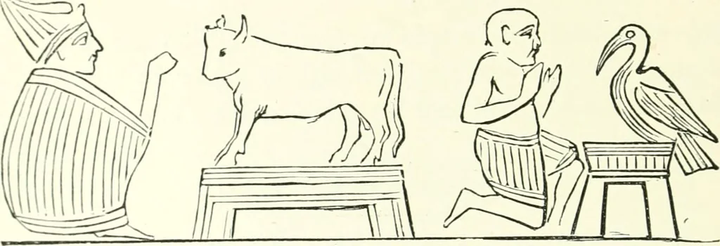 An illustration from Salaminia (Cyprus) : the history, treasures, & antiquities of Salamis in the island of Cyprus, 1882, leaf 145