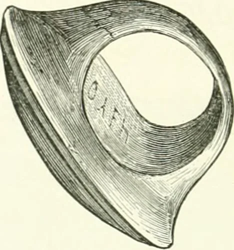 An illustration from Salaminia (Cyprus) : the history, treasures, & antiquities of Salamis in the island of Cyprus, 1882, leaf 269