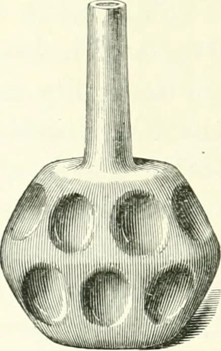 An illustration from Salaminia (Cyprus) : the history, treasures, & antiquities of Salamis in the island of Cyprus, 1882, leaf 281