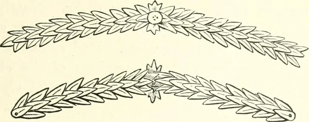 An illustration from Salaminia (Cyprus) : the history, treasures, & antiquities of Salamis in the island of Cyprus, 1882, leaf 346