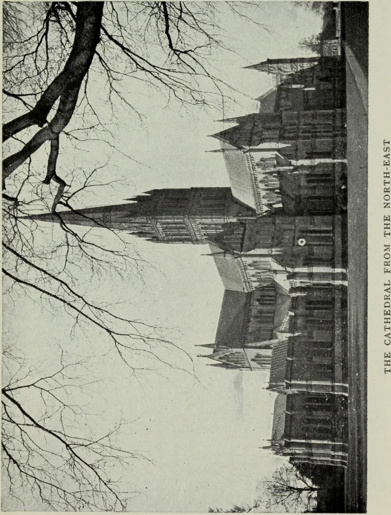 An illustration from Salisbury, 1900, leaf 6