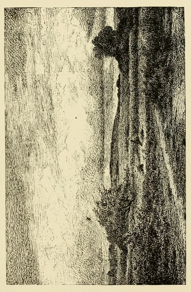 An illustration from The Salon; a collection of the choicest paintings recently executed by distinguished European artists .., 1881, leaf 327