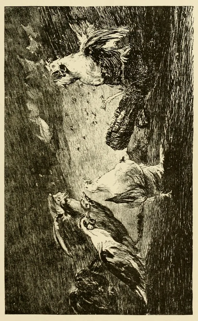 An illustration from The Salon; a collection of the choicest paintings recently executed by distinguished European artists .., 1881, leaf 41