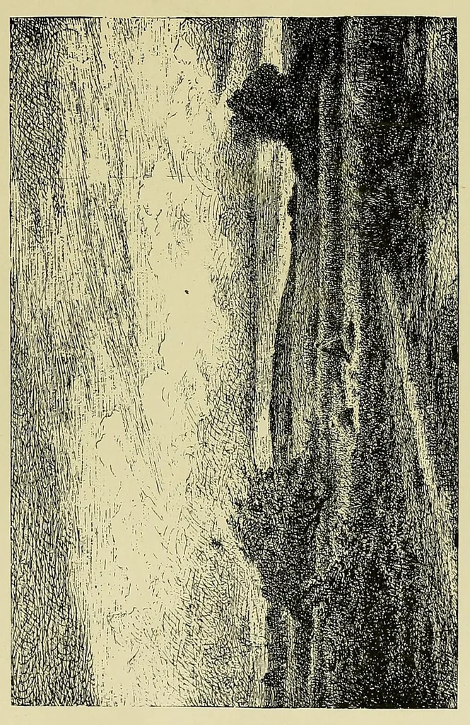 An illustration from The Salon; a collection of the choicest paintings recently executed by distinguished European artists .., 1881, leaf 341