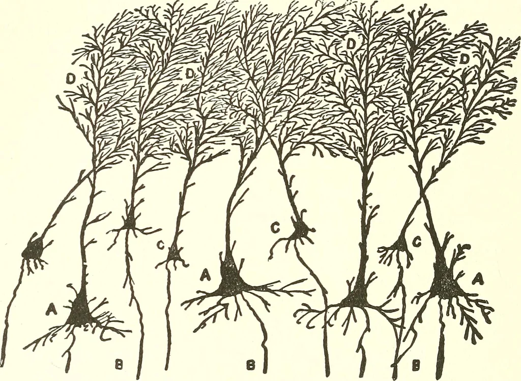An illustration from Salvation by science (Natural salvation) : immortal life on the earth from the growth of knowledge and the development of the human brain, 1913, leaf 203
