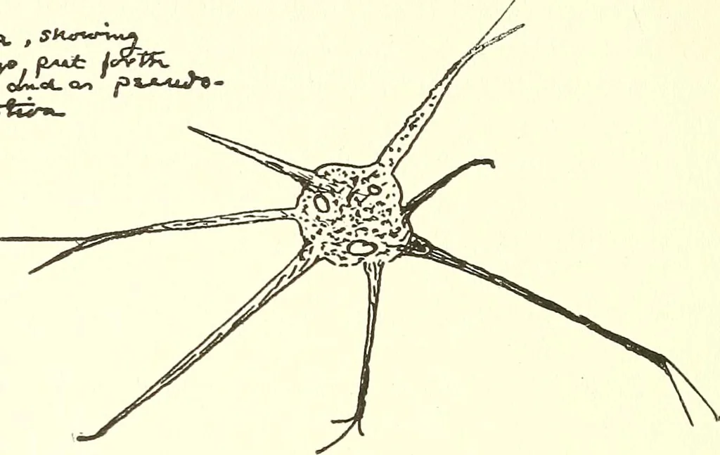 An illustration from Salvation by science (Natural salvation) : immortal life on the earth from the growth of knowledge and the development of the human brain, 1913, leaf 45