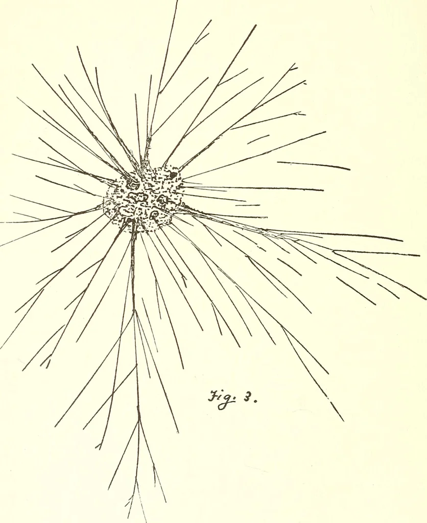 An illustration from Salvation by science (Natural salvation) : immortal life on the earth from the growth of knowledge and the development of the human brain, 1913, leaf 47