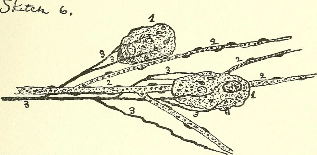 An illustration from Salvation by science (Natural salvation) : immortal life on the earth from the growth of knowledge and the development of the human brain, 1913, leaf 56