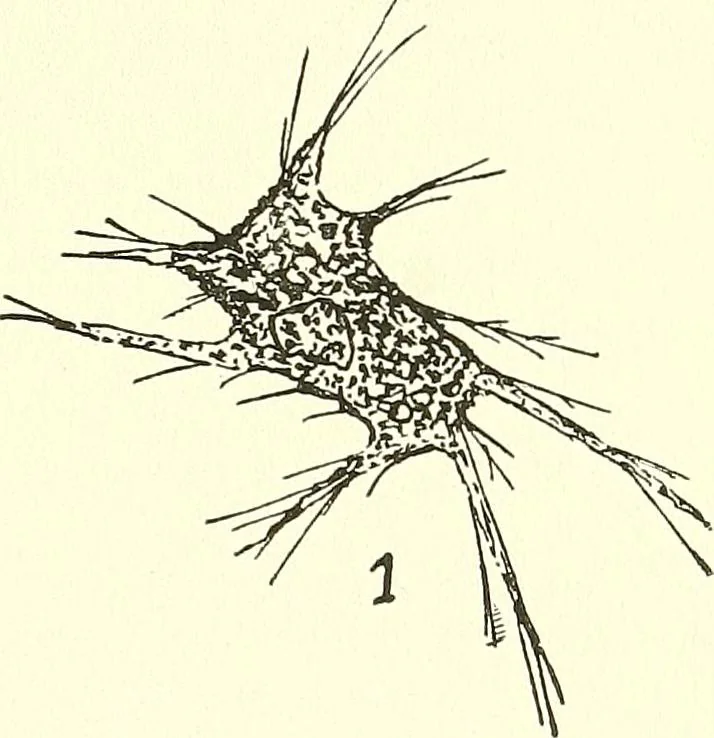 An illustration from Salvation by science (Natural salvation) : immortal life on the earth from the growth of knowledge and the development of the human brain, 1913, leaf 76