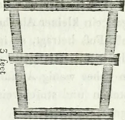 An illustration from Sammlung nützlicher Aufsätze und Nachrichten, die Baukunst betreffend, 1797, leaf 40