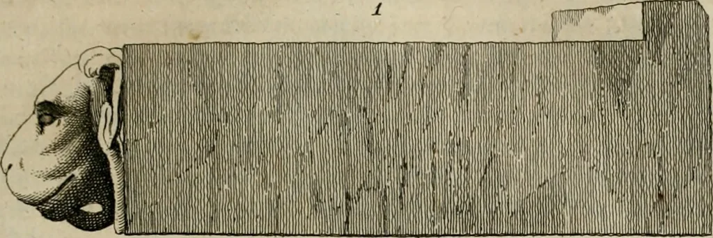An illustration from Sammlung von Aegyptischen, Hetrurischen, Griechischen und Romischen Alterthümern, 1766, leaf 110