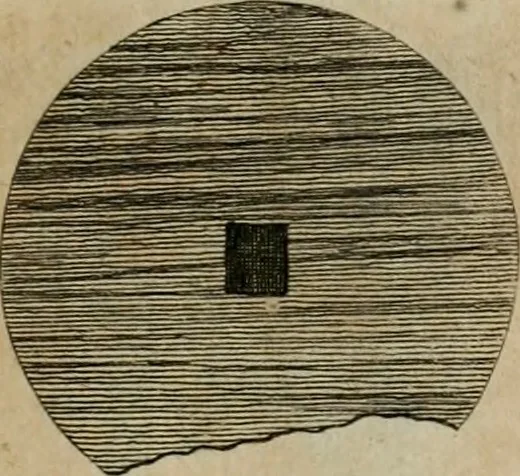 An illustration from Sammlung von Aegyptischen, Hetrurischen, Griechischen und Romischen Alterthümern, 1766, leaf 120