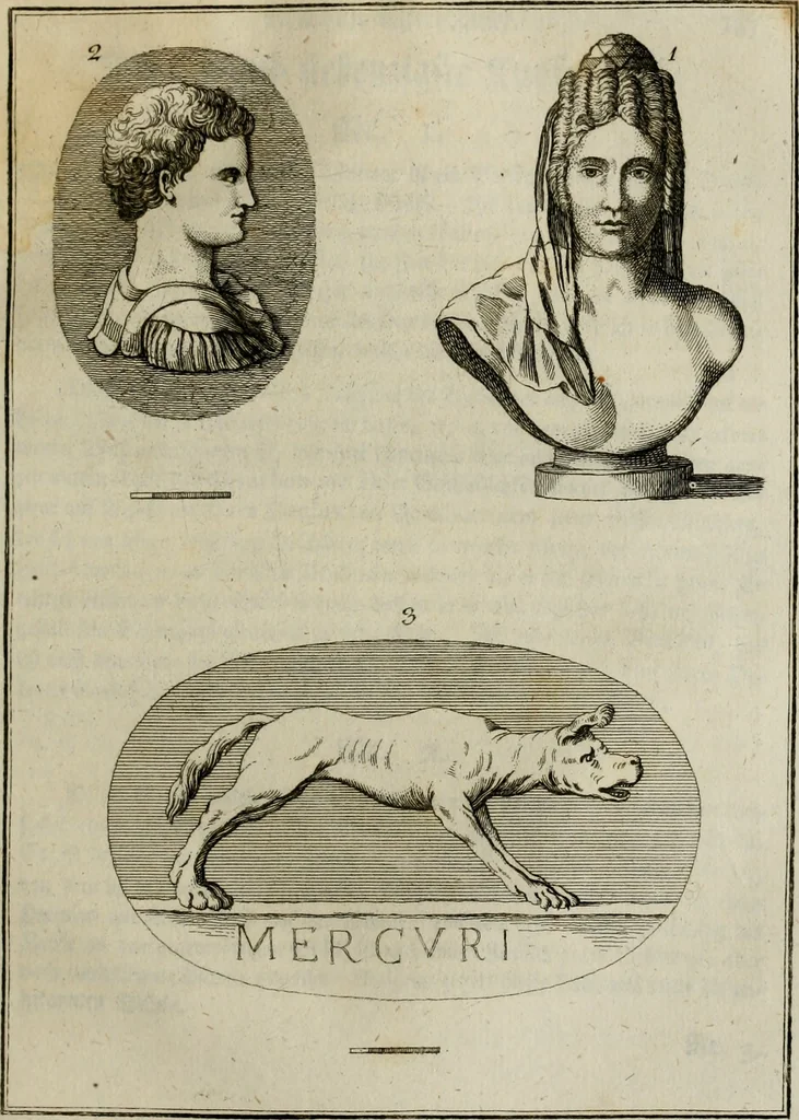 An illustration from Sammlung von Aegyptischen, Hetrurischen, Griechischen und Romischen Alterthümern, 1766, leaf 352