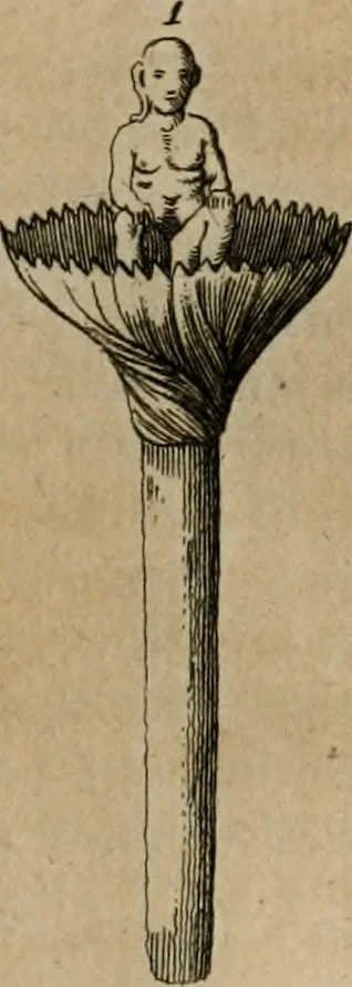 An illustration from Sammlung von Aegyptischen, Hetrurischen, Griechischen und Romischen Alterthümern, 1766, leaf 76