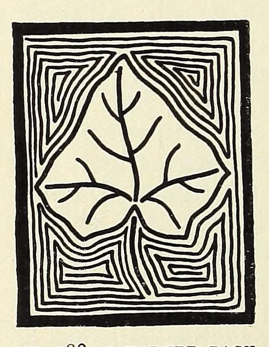 An illustration from Samplers and stitches : a handbook of the embroiderer's art, 1921, leaf 194