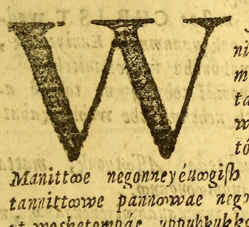 An illustration from Sampwutteahae quinnuppekompauaenin. : Wahuwômook oggussemesuog sampwutteabáe wunnamptamwaenuog,, 1689, leaf 11