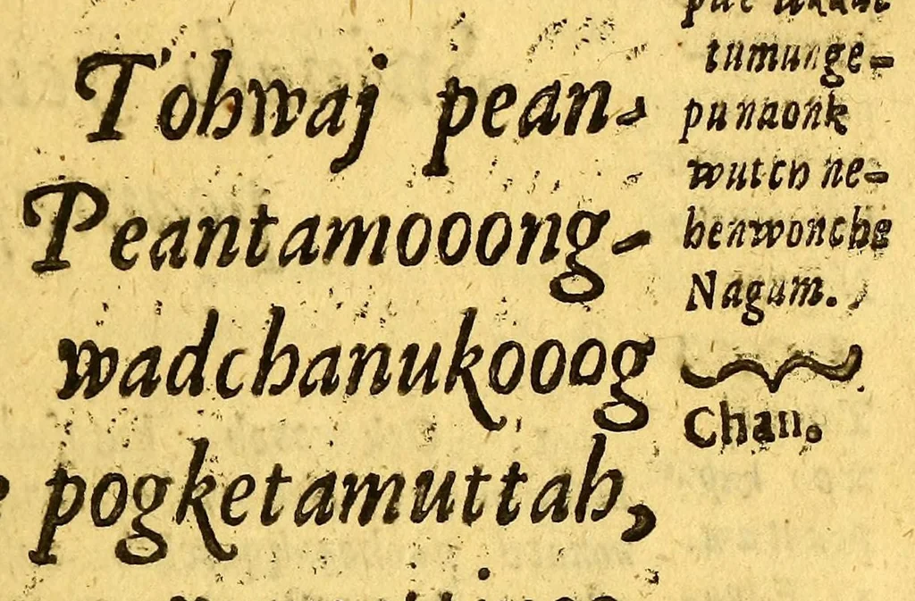An illustration from Sampwutteahae quinnuppekompauaenin. : Wahuwômook oggussemesuog sampwutteabáe wunnamptamwaenuog,, 1689, leaf 169