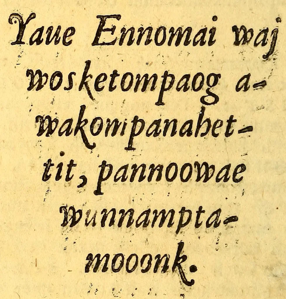 An illustration from Sampwutteahae quinnuppekompauaenin. : Wahuwômook oggussemesuog sampwutteabáe wunnamptamwaenuog,, 1689, leaf 172