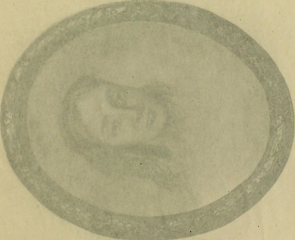 An illustration from Samuel Cooper and the English miniature painters of the XVII century, 1914, leaf 220